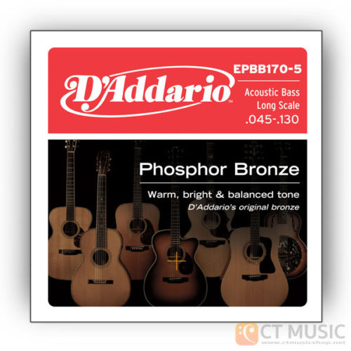 สายเบส D'Addario EPBB170-5 Phosphor Bronze Acoustic 5 String Bass 045 065 080 100 130
