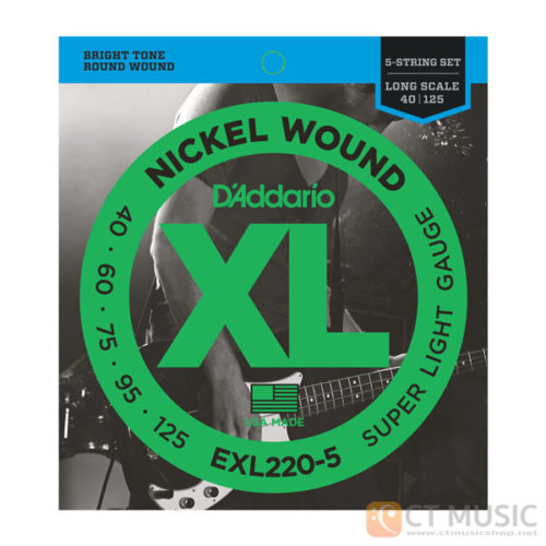 สายเบส D'Addario EXL220-5 Nickel Wound 5 String Bass 040 060 075 095 125