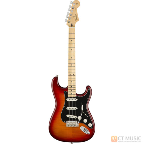 กีตาร์ไฟฟ้า Fender Player Stratocaster Plus Top