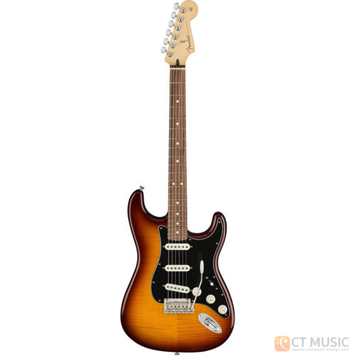 กีตาร์ไฟฟ้า Fender Player Stratocaster Plus Top