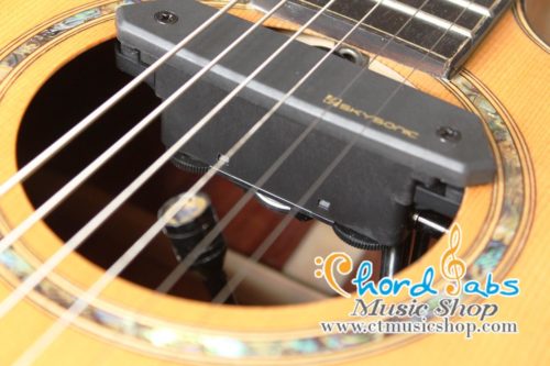 Skysonic T-902 Active Double Pickup ( Michrophone + Magnetic )